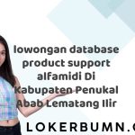 lowongan database product support alfamidi Di Kabupaten Penukal Abab Lematang Ilir Tahun 2025 (Resmi)